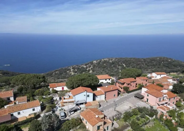 La Margherita - Goelba *